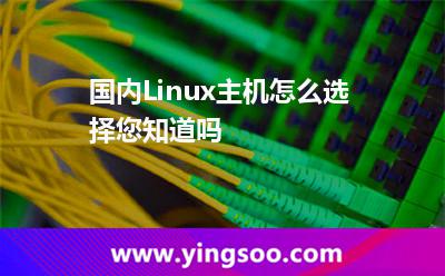 虛擬主機(jī)選擇_國內(nèi)Linux主機(jī)怎么選擇您知道嗎 虛擬主機(jī)選擇