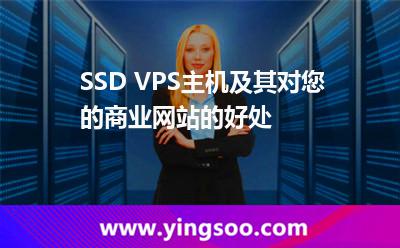 SSD VPS主機及其對您的商業(yè)網(wǎng)站的好處 SSD VPS主機及其對您的商業(yè)網(wǎng)站的好處