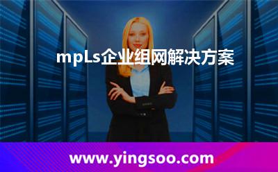 mpLs企業(yè)組網(wǎng)解決方案 mpLs企業(yè)組網(wǎng)解決方案
