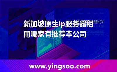 新加坡原生ip服務(wù)器租用哪家有 新加坡原生ip服務(wù)器租用哪家有