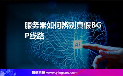 服務(wù)器線路:服務(wù)器如何辨別真假BGP線路 服務(wù)器線路