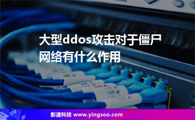 攻擊僵尸:大型ddos攻擊對于僵尸網(wǎng)絡(luò)有什么作用 攻擊僵尸