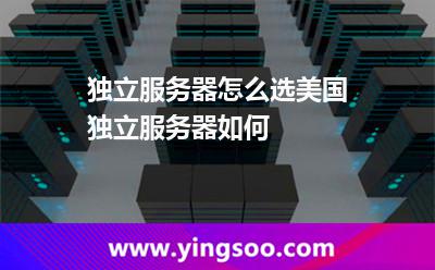 獨(dú)立服務(wù)器怎么選美國獨(dú)立服務(wù)器如何