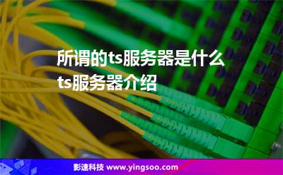 所謂的ts服務(wù)器是什么?ts服務(wù)器介紹 所謂的ts服務(wù)器是什么?ts服務(wù)器介紹