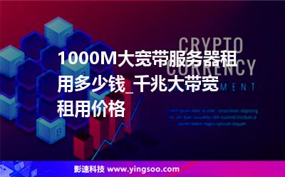 1000M大寬帶服務(wù)器租用多少錢_千兆大帶寬租用價格 