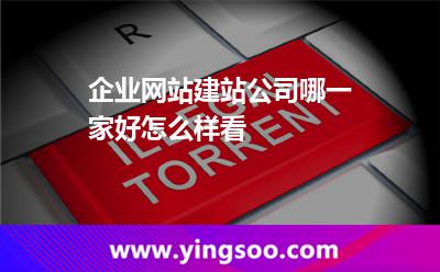 公司網(wǎng)站建設