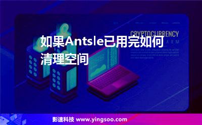 如果Antsle已用完，如何清理空間