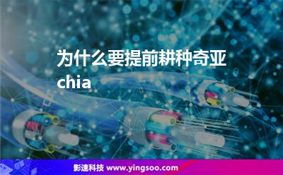 代幣采用:為什么要提前耕種奇亞chia 代幣采用
