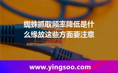 蜘蛛抓取頻率降低是什么緣故這些方面要注意 抓取網(wǎng)站