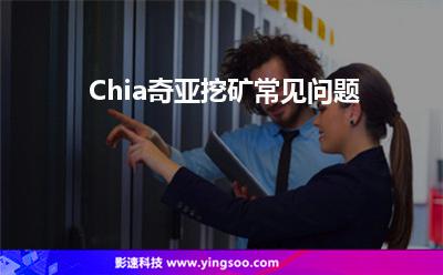 挖礦硬盤:Chia奇亞挖礦常見問題 挖礦硬盤