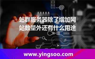 站群服務(wù)器除了增加網(wǎng)站數(shù)量外還有什么用途 站群服務(wù)器除了增加網(wǎng)站數(shù)量外還有什么用途