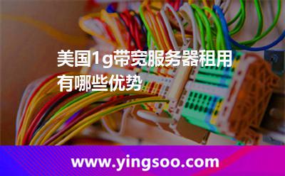 美國1g帶寬服務(wù)器租用有哪些優(yōu)勢(shì)? 美國1g帶寬服務(wù)器租用有哪些優(yōu)勢(shì)?