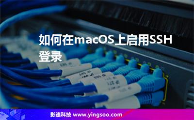 如何在macOS上啟用SSH登錄 如何在macOS上啟用SSH登錄