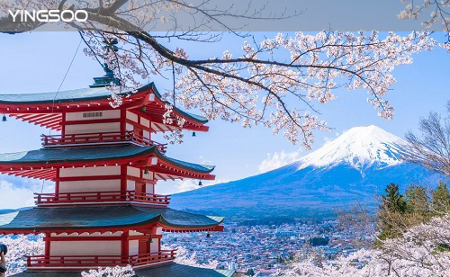 日本服務器的優(yōu)勢有哪些