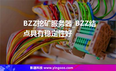 BZZ挖礦服務器_BZZ結(jié)點具有穩(wěn)定性好 BZZ挖礦服務器_BZZ結(jié)點具有穩(wěn)定性好
