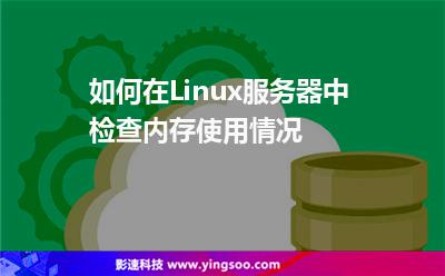 如何在Linux服務(wù)器中檢查內(nèi)存使用情況