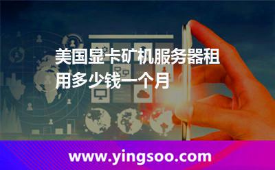 美國顯卡礦機(jī)服務(wù)器租用多少錢一個月 美國顯卡礦機(jī)服務(wù)器租用多少錢一個月