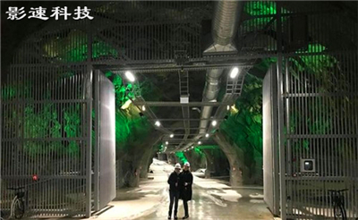 打不死高防服務(wù)器