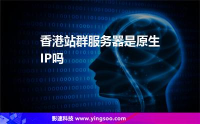 香港站群服務器是原生IP嗎 香港站群服務器是原生IP嗎