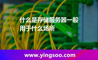 什么是存儲(chǔ)服務(wù)器?一般用于什么場所? 什么是存儲(chǔ)服務(wù)器?一般用于什么場所?