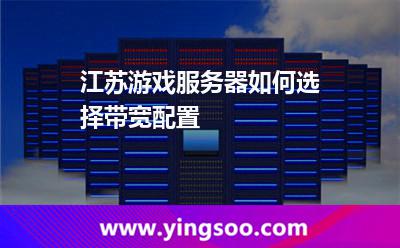 網(wǎng)絡(luò)帶寬服務(wù)器