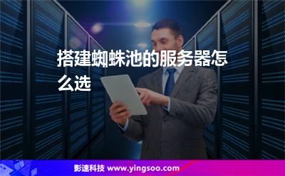 搭建蜘蛛池的服務(wù)器怎么選 搭建蜘蛛池的服務(wù)器怎么選