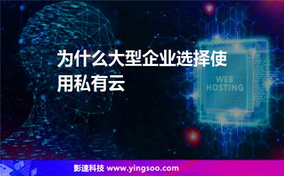 為什么大型企業(yè)選擇使用私有云