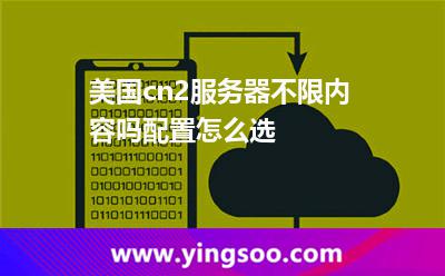 美國cn2服務(wù)器不限內(nèi)容嗎配置怎么選 美國cn2服務(wù)器不限內(nèi)容嗎配置怎么選