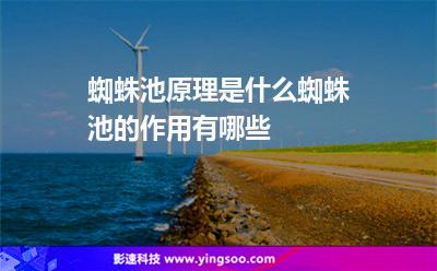 蜘蛛搜索引擎:蜘蛛池原理是什么蜘蛛池的作用有哪些 蜘蛛搜索引擎