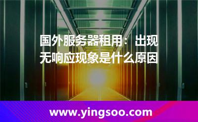 國外服務(wù)器租用:出現(xiàn)無響應(yīng)現(xiàn)象是什么原因 國外服務(wù)器租用:出現(xiàn)無響應(yīng)現(xiàn)象是什么原因