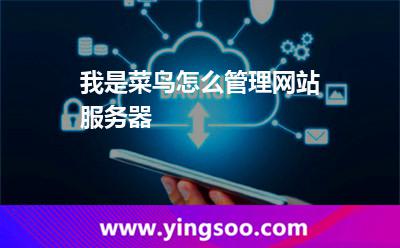 我是菜鳥怎么管理網站服務器 我是菜鳥怎么管理網站服務器