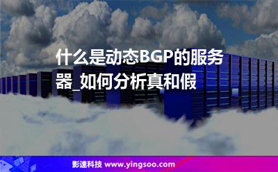 什么是動(dòng)態(tài)BGP的服務(wù)器_如何分析真和假  什么是動(dòng)態(tài)BGP的服務(wù)器_如何分析真和假