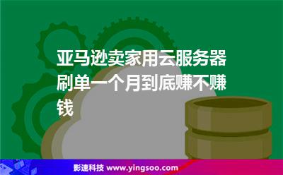 亞馬遜賣家用云服務器刷單一個月到底賺不賺錢