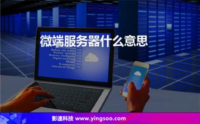 微端服務(wù)器什么意思 微端服務(wù)器什么意思