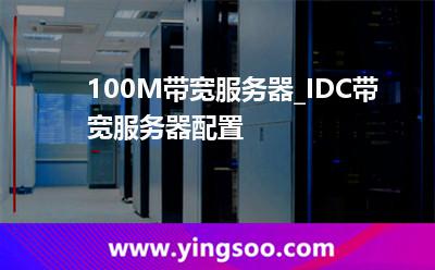 帶寬服務(wù)器_100M帶寬服務(wù)器_IDC帶寬服務(wù)器配置  帶寬服務(wù)器