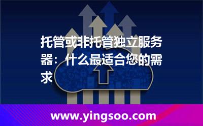 托管或非托管獨立服務器:什么最適合您的需求 托管或非托管獨立服務器:什么最適合您的需求