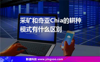 耕種采礦:采礦和奇亞Chia的耕種模式有什么區(qū)別 耕種采礦