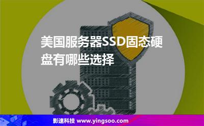 美國(guó)服務(wù)器SSD固態(tài)硬盤有哪些選擇 美國(guó)服務(wù)器SSD固態(tài)硬盤有哪些選擇