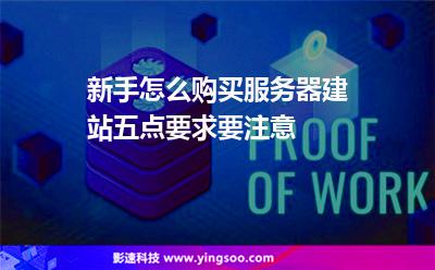 新手怎么購買服務(wù)器建站五點要求要注意 新手怎么購買服務(wù)器建站五點要求要注意
