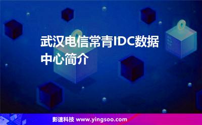 武漢電信常青IDC數(shù)據(jù)中心簡(jiǎn)介