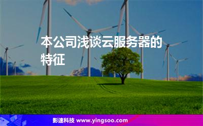 本公司淺談云服務(wù)器的特征