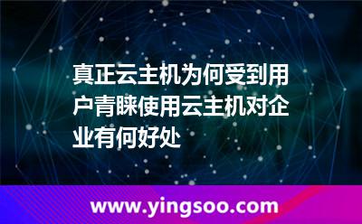 真正云主機(jī)為何受到用戶青睞使用云主機(jī)對(duì)企業(yè)有何好處 真正云主機(jī)為何受到用戶青睞使用云主機(jī)對(duì)企業(yè)有何好處