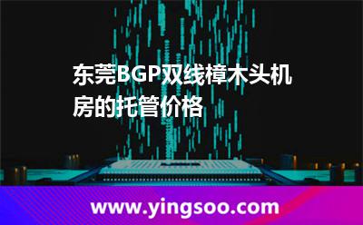 東莞BGP雙線樟木頭機(jī)房的托管價(jià)格 東莞BGP雙線樟木頭機(jī)房的托管價(jià)格