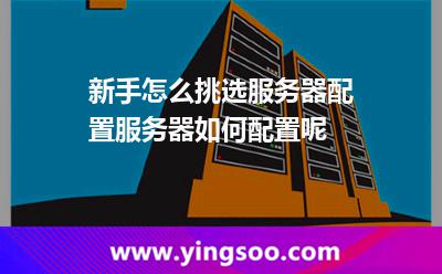 新手怎么挑選服務(wù)器配置服務(wù)器如何配置呢 新手怎么挑選服務(wù)器配置服務(wù)器如何配置呢
