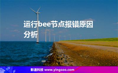 運行bee節(jié)點報錯原因分析 運行bee節(jié)點報錯原因分析