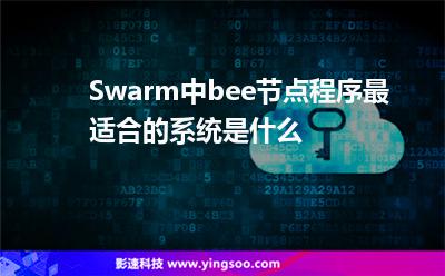 Swarm中bee節(jié)點程序最適合的系統(tǒng)是什么 Swarm中bee節(jié)點程序最適合的系統(tǒng)是什么