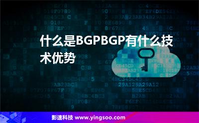 有什么用戶