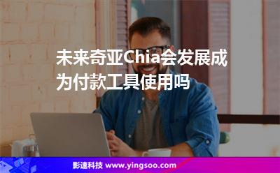 應用程序英格蘭:未來奇亞Chia會發(fā)展成為付款工具使用嗎 應用程序英格蘭
