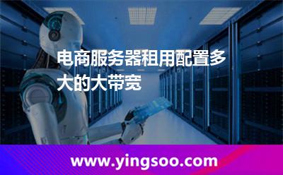 帶寬配置_電商服務(wù)器租用配置多大的大帶寬  帶寬配置