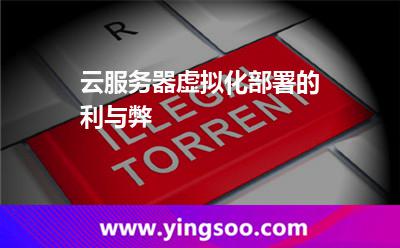 云服務(wù)器虛擬化部署的利與弊 云服務(wù)器虛擬化部署的利與弊